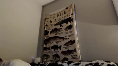 18str8igcock online show from 11-01-25, 10:56