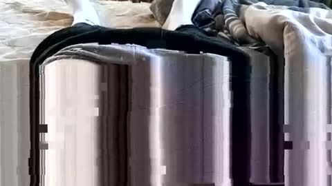 1injecttoys_ online show from 03-07-26, 05:37