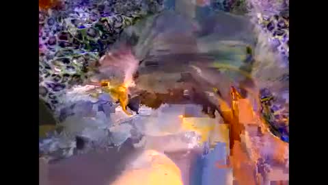 MED online show from 03-08-26, 09:29