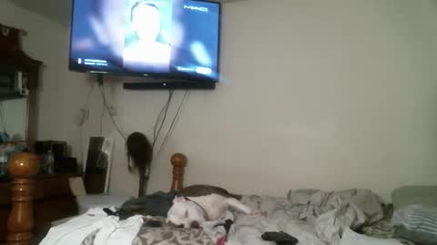 247dic online show from 04-28-26, 06:29