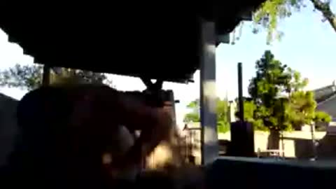 Snapshot of 420dick420707 chatting on 03-19-26, 01:20 420dick420707 online show from 03-19-26, 01:20