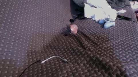 Chris online show from 03-02-25, 04:53