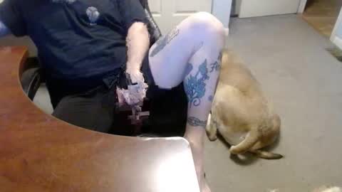 Snapshot of 70paborn chatting on 01-16-26, 05:28 MASTIFF online show from 01-16-26, 05:28