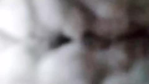 Snapshot of 88piterr88 chatting on 02-17-25, 08:52 88piterr88 online show from 02-17-25, 08:52