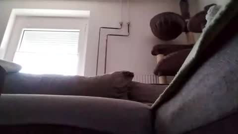 Snapshot of 88piterr88 chatting on 02-24-25, 07:22 88piterr88 online show from 02-24-25, 07:22