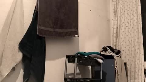 Snapshot of 88piterr88 chatting on 02-25-26, 03:16 88piterr88 online show from 02-25-26, 03:16