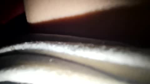 Snapshot of 88porterj chatting on 03-22-26, 04:38 JC online show from 03-22-26, 04:38