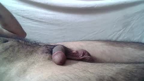 Snapshot of 9_incher_83 chatting on 06-11-26, 06:50 Massive hungry cock online show from 06-11-26, 06:50