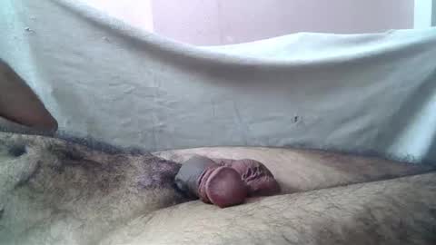 Snapshot of 9_incher_83 chatting on 07-08-26, 12:48 Massive hungry cock online show from 07-08-26, 12:48