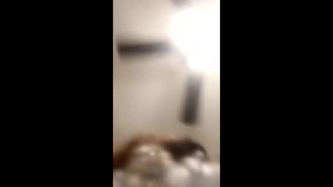 KittyPoo107 online show from 06-11-26, 02:33