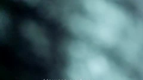 _black_horse_1 online show from 05-15-26, 10:50