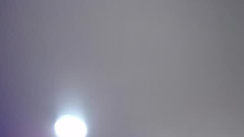 Snapshot of _charlotte_collins_ chatting on 07-17-26, 04:23 _charlotte_collins_ online show from 07-17-26, 04:23