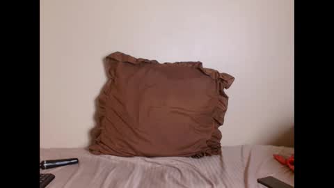 Snapshot of _karishma chatting on 03-01-25, 01:07 _karishma online show from 03-01-25, 01:07