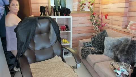 Sol online show from 03-31-26, 10:59