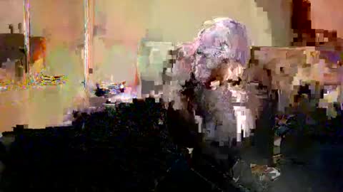 Nicole  Thomas  Dave online show from 05-20-26, 08:59