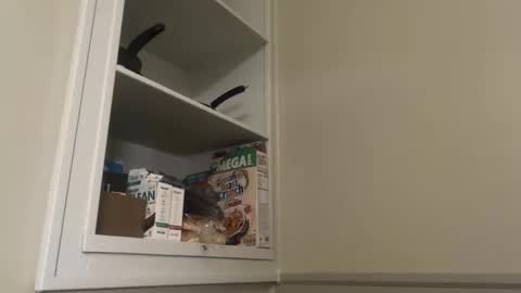 aazdaan online show from 04-06-26, 01:47