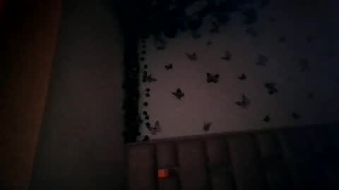 abby_moss_2 online show from 07-01-26, 12:51
