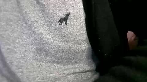 adarkvid420tj online show from 02-18-26, 06:20