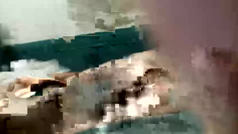 adrodiarellano online show from 10-13-25, 02:22