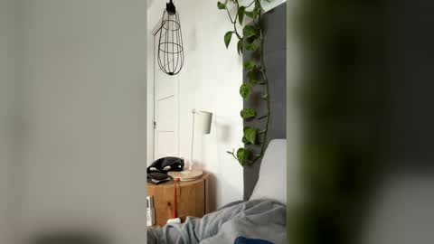 advbike online show from 03-13-26, 09:21