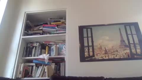 aesthetic form online show from 04-13-26, 08:47