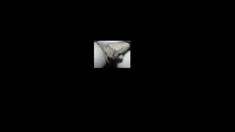 NE Ohio BiGuy online show from 02-05-26, 02:27