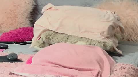 Snapshot of aitanna_love chatting on 03-10-26, 06:29 Aitanna Love online show from 03-10-26, 06:29