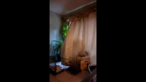 ajiii1313 online show from 04-03-26, 11:41