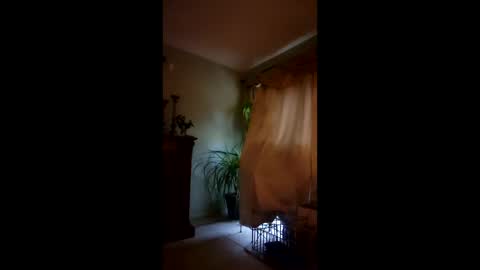 ajiii1313 online show from 04-04-26, 09:34