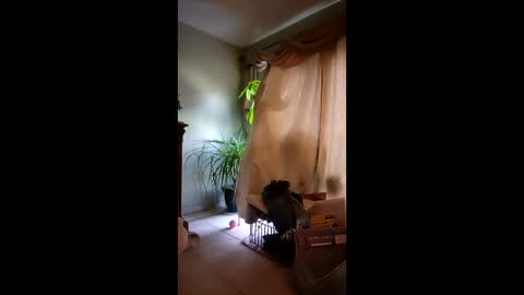 ajiii1313 online show from 04-10-26, 12:21