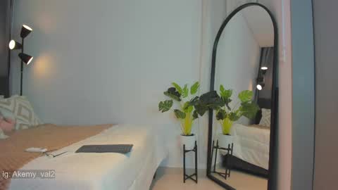 Snapshot of akemy__ chatting on 05-28-26, 01:25 Im val online show from 05-28-26, 01:25