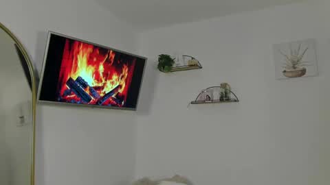   online show from 06-02-26, 10:39