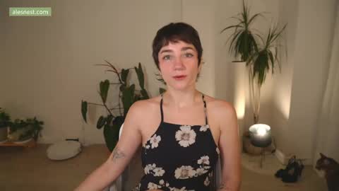 Ale online show from 04-02-26, 11:46