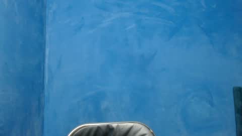 Alex online show from 04-04-26, 03:27