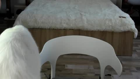 Snapshot of alexarti chatting on 02-19-26, 04:30 Alex online show from 02-19-26, 04:30