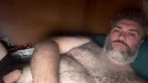 Snapshot of alfali chatting on 07-17-26, 07:41 alfali online show from 07-17-26, 07:41