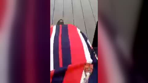 AlinaSiS online show from 07-17-26, 07:26