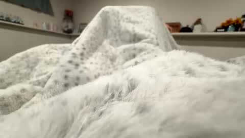 aliosis1 online show from 04-20-26, 03:20