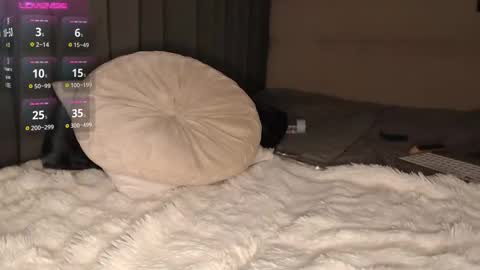 Alisa online show from 02-21-26, 07:48