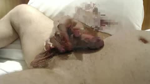 Frank online show from 01-29-25, 10:22