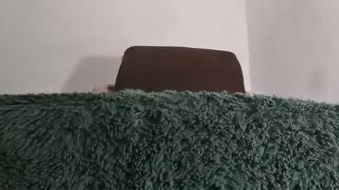 alotofcream4u online show from 07-08-26, 05:56
