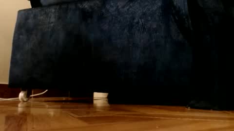 ur god online show from 03-01-26, 12:12