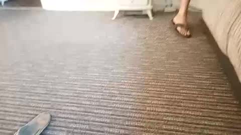 Couplefilth online show from 07-11-26, 03:59