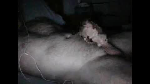 alucard5757 online show from 02-01-25, 02:34