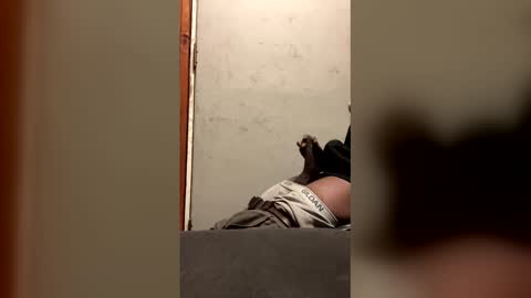 alwayshorny240177 online show from 02-13-26, 04:47