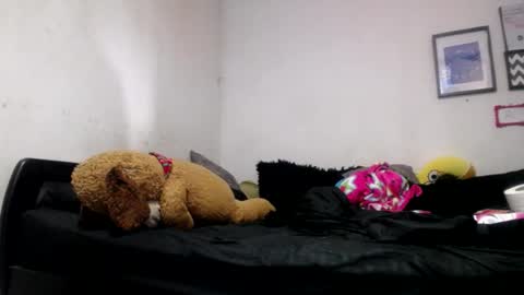 Snapshot of alynfoxx chatting on 06-24-26, 06:51 Alyn Maria online show from 06-24-26, 06:51