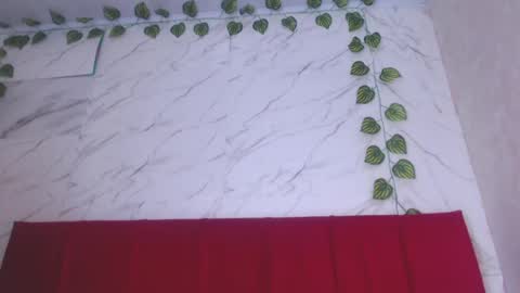 amandacanelacm101 online show from 06-14-26, 12:19