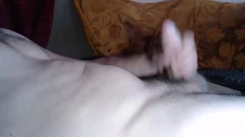 amazingcuteboy845 online show from 05-25-26, 07:42
