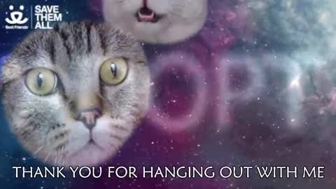 Snapshot of ambersimard chatting on 03-05-25, 03:08 Amber online show from 03-05-25, 03:08