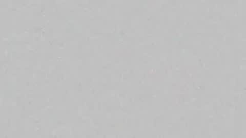 amelia online show from 05-13-26, 09:55